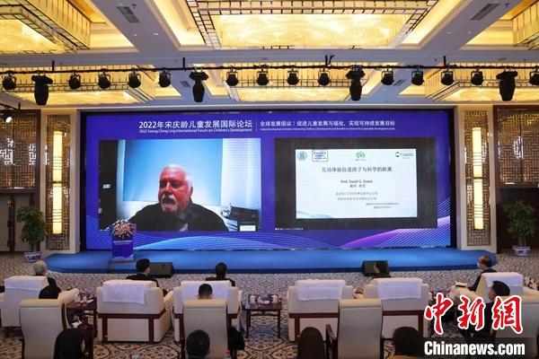 英国皇家化学会中国分会主席、北京化工大学特聘教授戴伟在线上作主旨报告 宋基会供图 英国皇家化学会中国分会主席、北京化工大学特聘教授戴伟在线上作主旨报告 宋基会供图