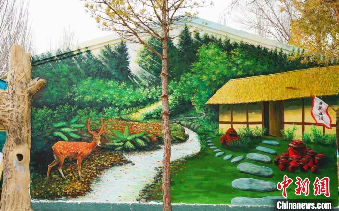 绘制好的乡村墙绘。 宁夏文旅厅供图 绘制好的乡村墙绘。 宁夏文旅厅供图