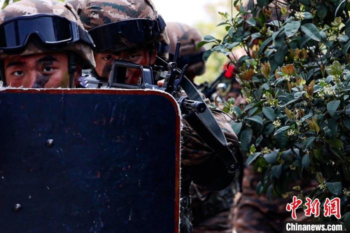 特战队员协同配合。 郑小强 摄 特战队员协同配合。 郑小强 摄