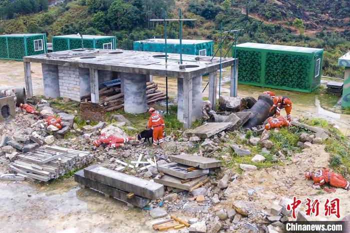 搜救犬、无人机配合救援行动。 蔡渊艺 摄 搜救犬、无人机配合救援行动。 蔡渊艺 摄