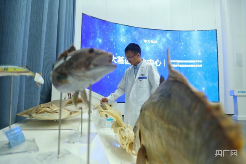 青岛建成世界规模最大的综合性国家海洋基因库(央广网记者 唐磊 摄)