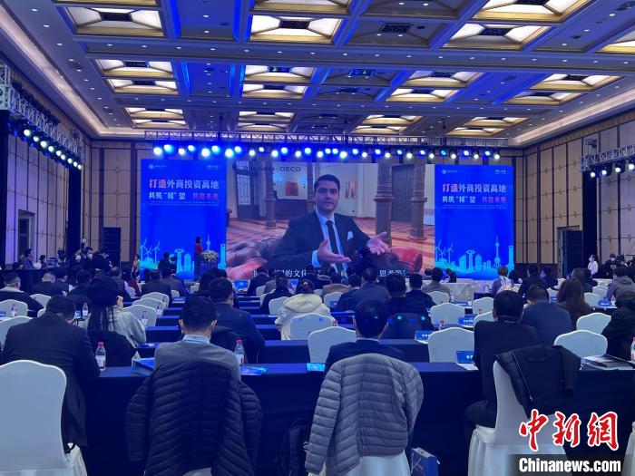 图为内蒙古包头赴上海招商的活动现场。　包头市委宣传部供图